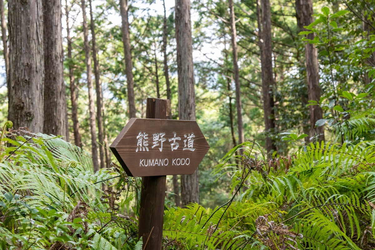 Kumano Kodo Kumano Kodo