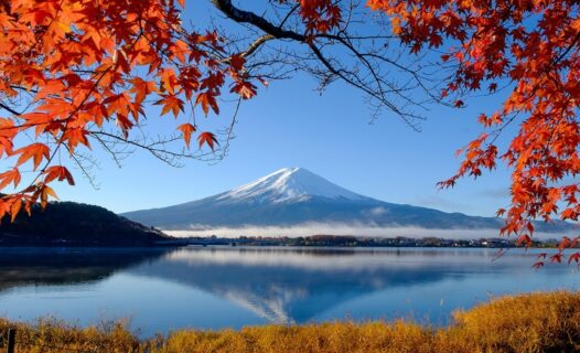 Unveiling Japan's Seasons: The Best Time to Experience Japan's Magic