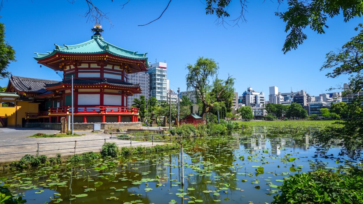 Discover the Serenity: A Complete Travel Guide to Lake Shinobazu, Tokyo background image