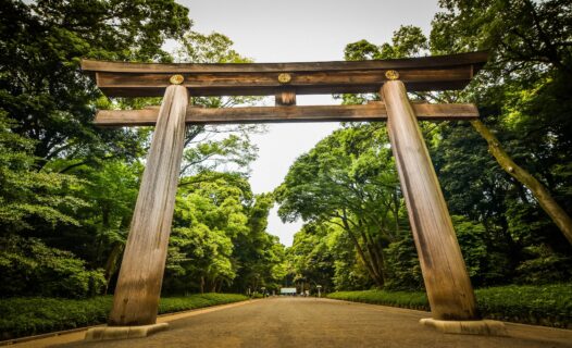 Entdecken Sie die Gelassenheit und Majestät des Meiji-Schreins: Eine ruhige Oase im Herzen von Tokio