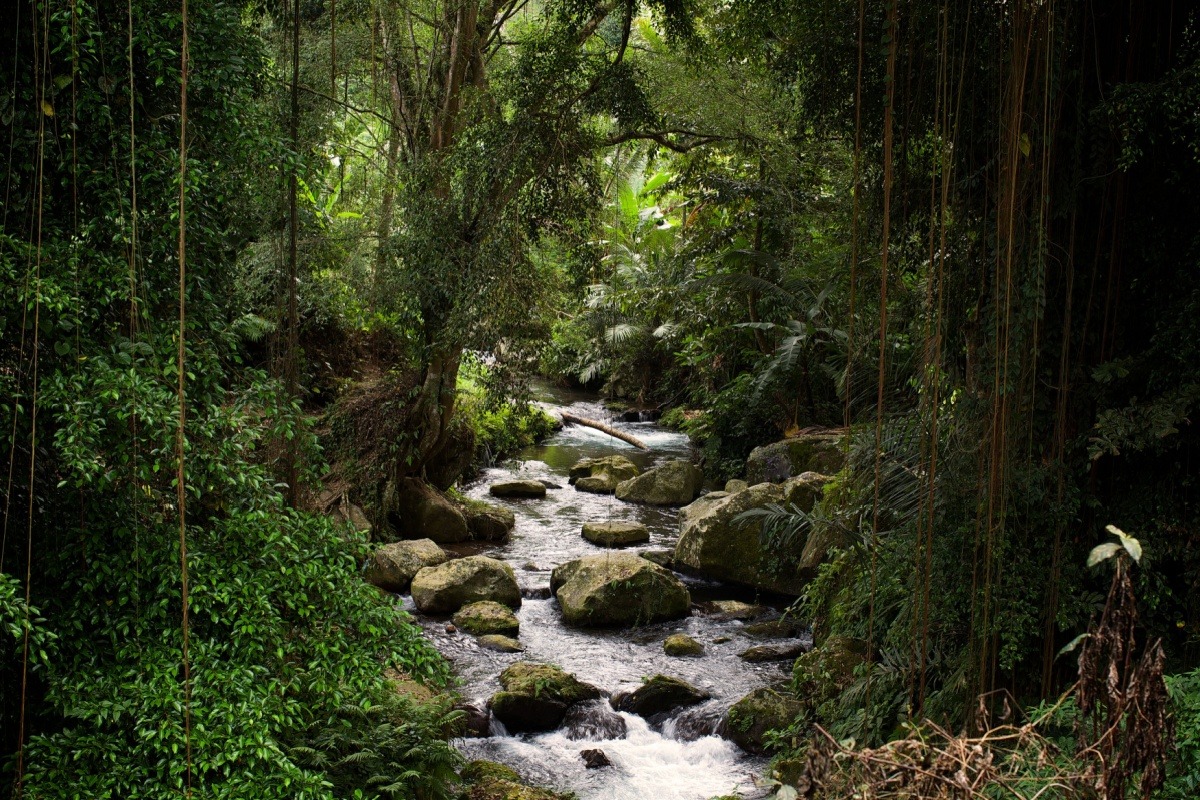 Sungai Pakerisan, Bali Sungai Pakerisan, Bali