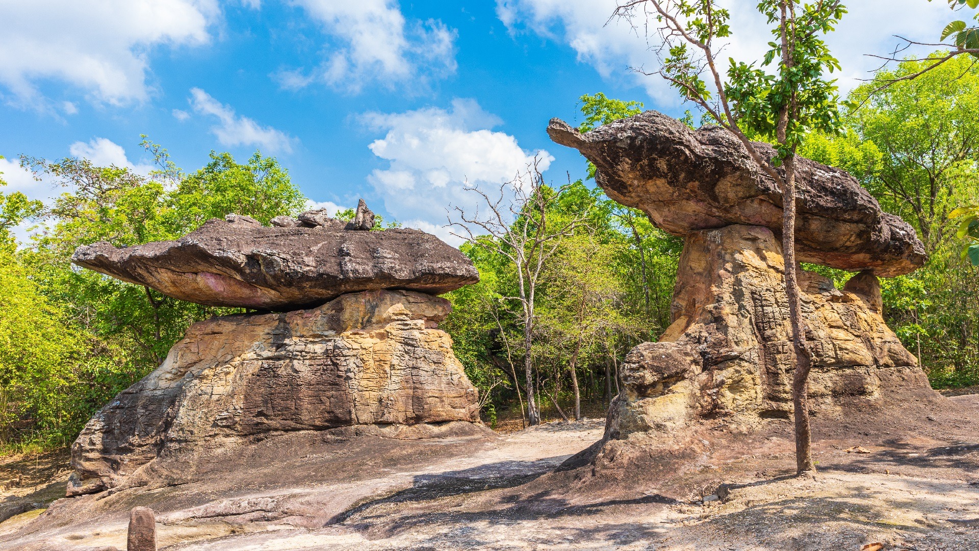 Top Tourist Attractions in Udon Thani Discover the Best Spots for Your