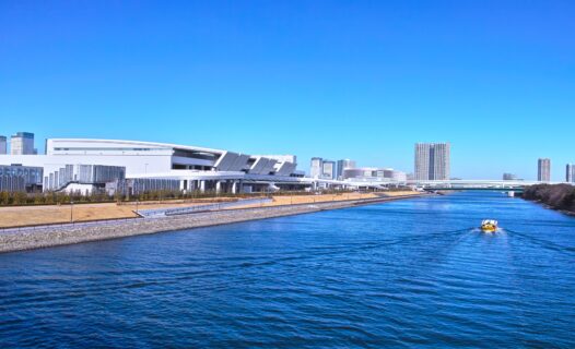 Exploring Toyosu Market: A Complete Guide to Tokyo’s New Culinary Wonderland
