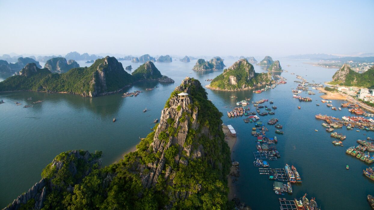 The Ultimate Guide to the Best Time to Visit Vietnam: Weather, Festivals, and Top Activities background image