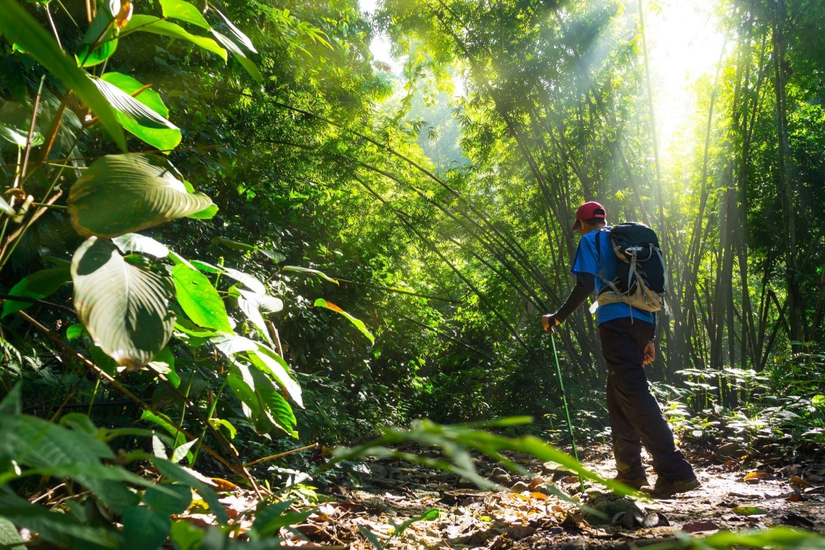 Hiking di Taman Eko hutan KL Hiking di Taman Eko hutan KL