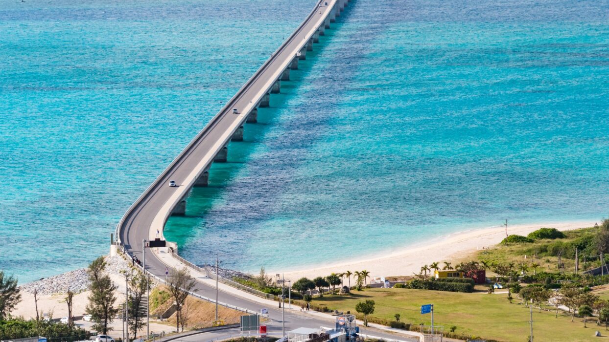 When to Visit Okinawa Main Island: A Seasonal Travel Guide background image