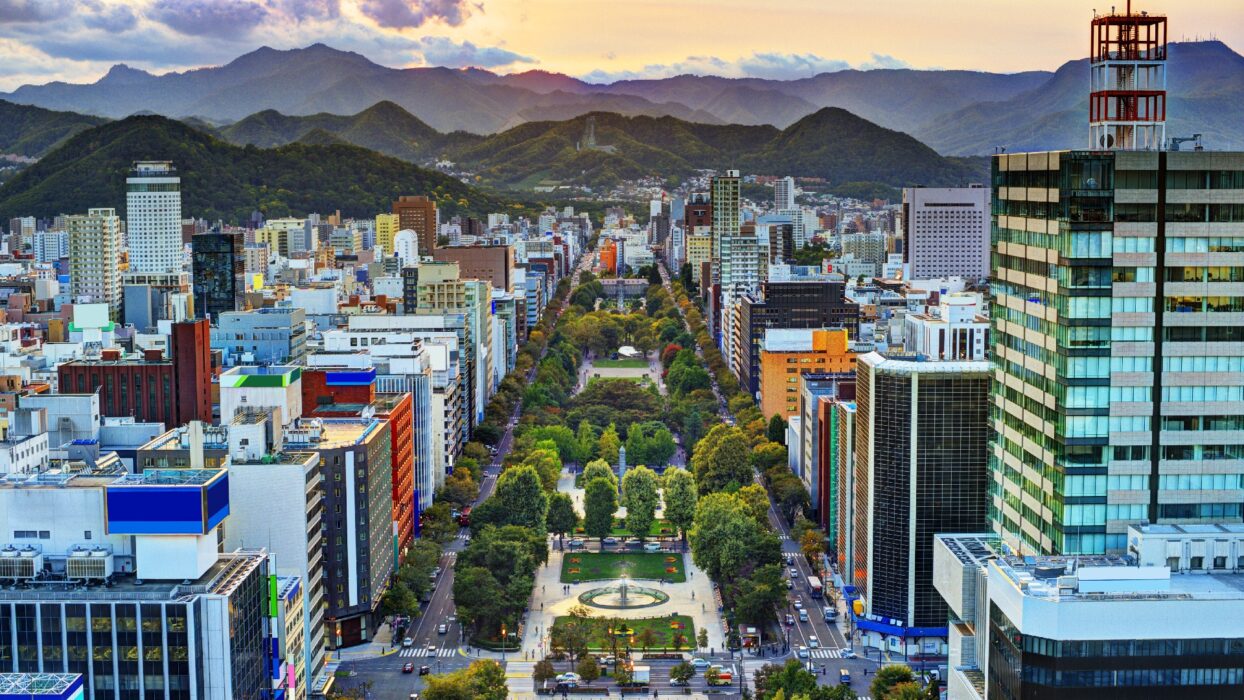삿포로 기념품 쇼핑 가이드: 꼭 사야 할 기념품과 기념품 판매처 background image