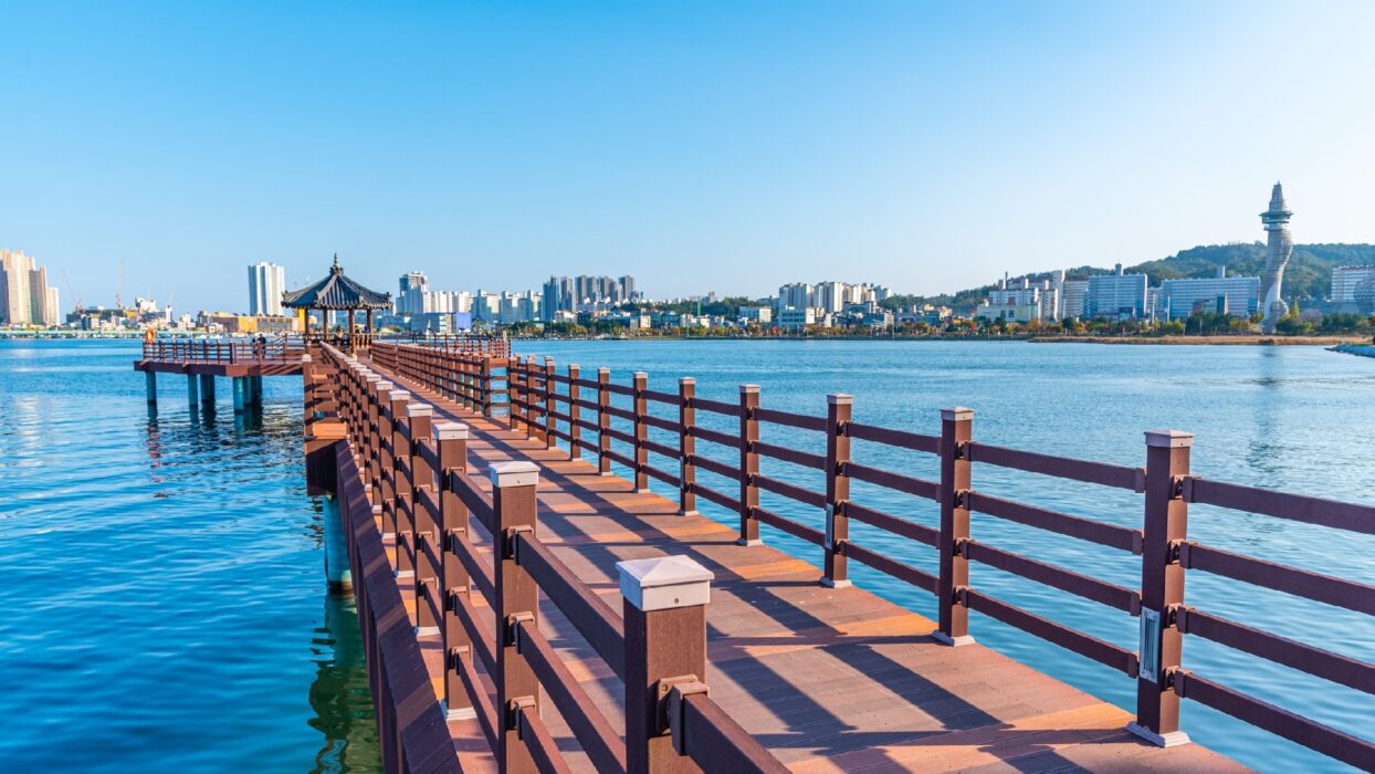 Discover Sokcho-si: Top Souvenirs and Unique Finds to Bring Home background image