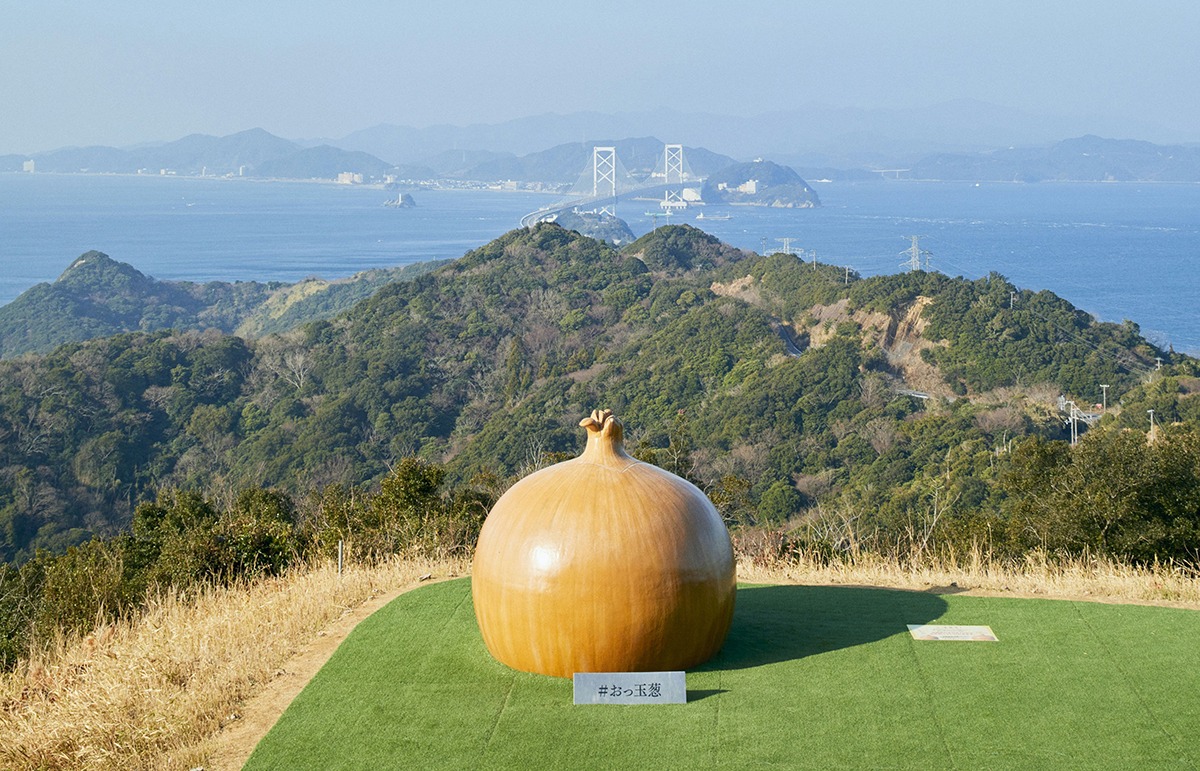 The giant O-tama Onion The giant O-tama Onion