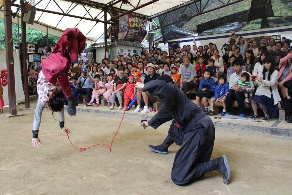 Ninja Show Ninja Show