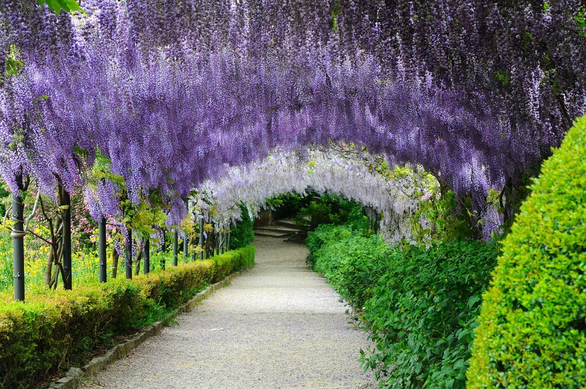 Bardini Gardens in Florence, Italy Bardini Gardens in Florence, Italy