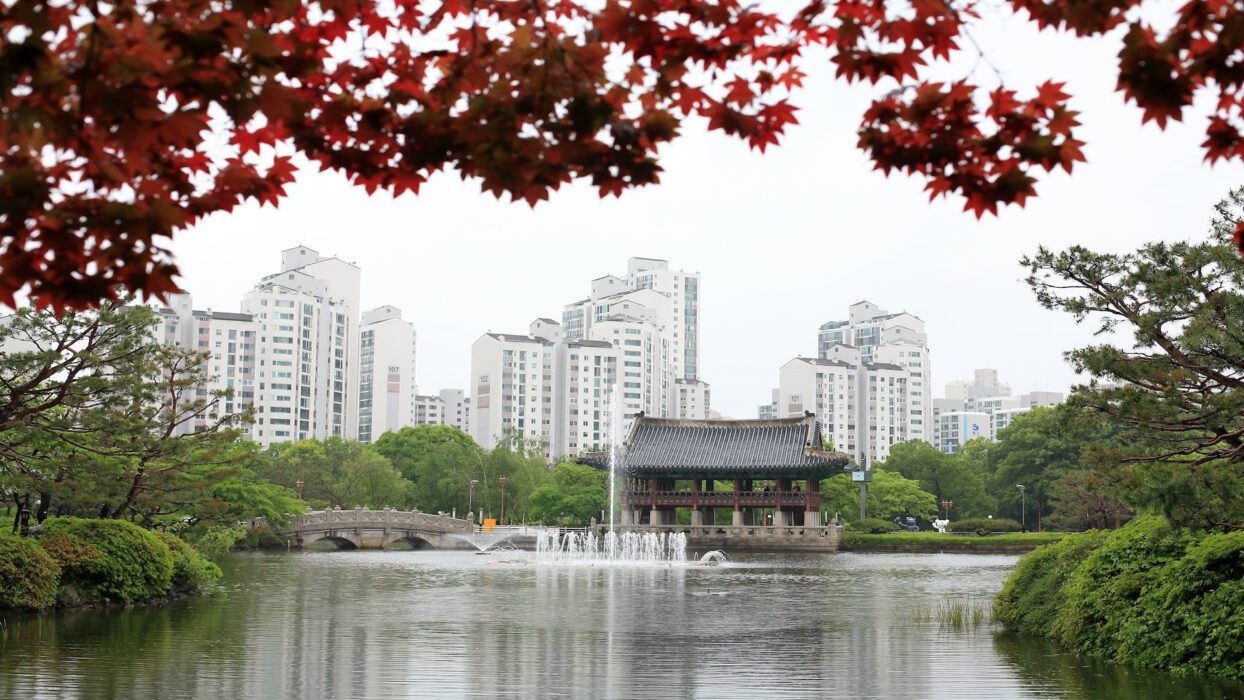 城南市の人気観光スポット:韓国の活気ある都市の隠れた魅力を解き明かす background image