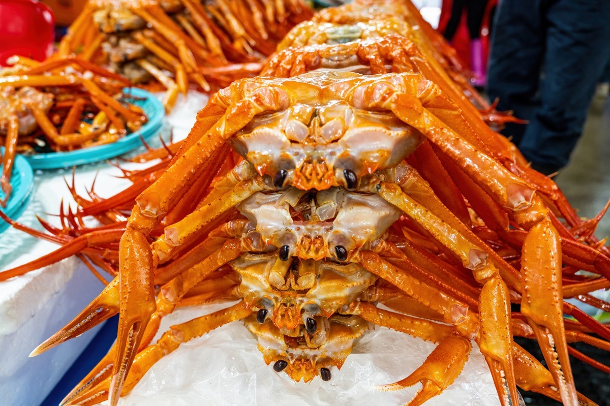 Pasar Ikan Jumunjin di Gangneung-si, Korea Selatan Pasar Ikan Jumunjin di Gangneung-si, Korea Selatan