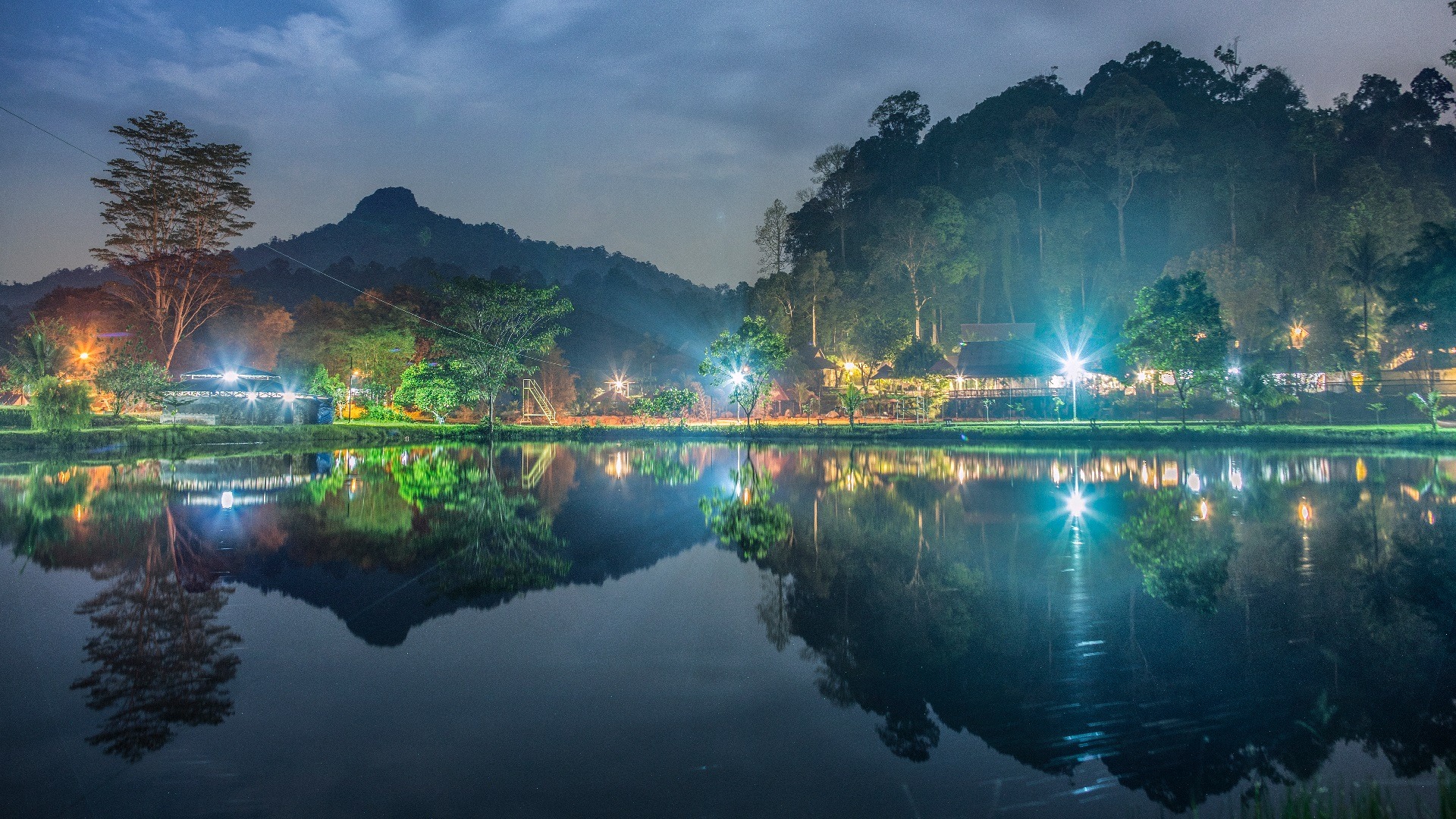Entdecken Sie den Zauber des Kota Tinggi Firefly Park Ein Muss in