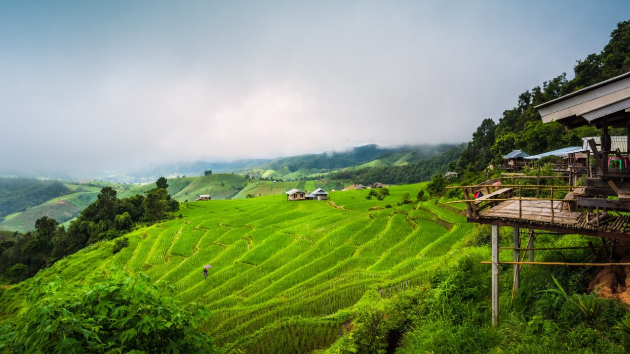 Embrace the Rain: Your Ultimate Travel Guide to Thailand During the Rainy Season