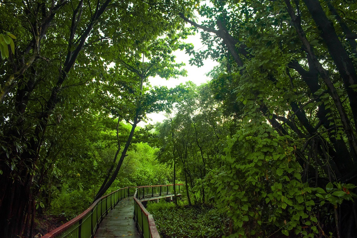 Mangrove Ecotourism Centre PIK Mangrove Ecotourism Centre PIK