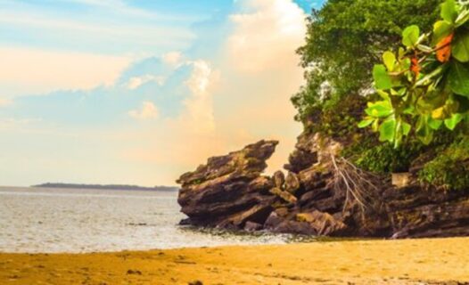 Balikpapan Indonésie : 10 Activités Incontournables à Découvrir