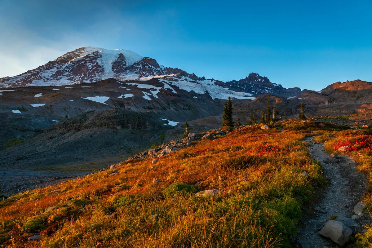 Parc national du Mont Rainier Parc national du Mont Rainier