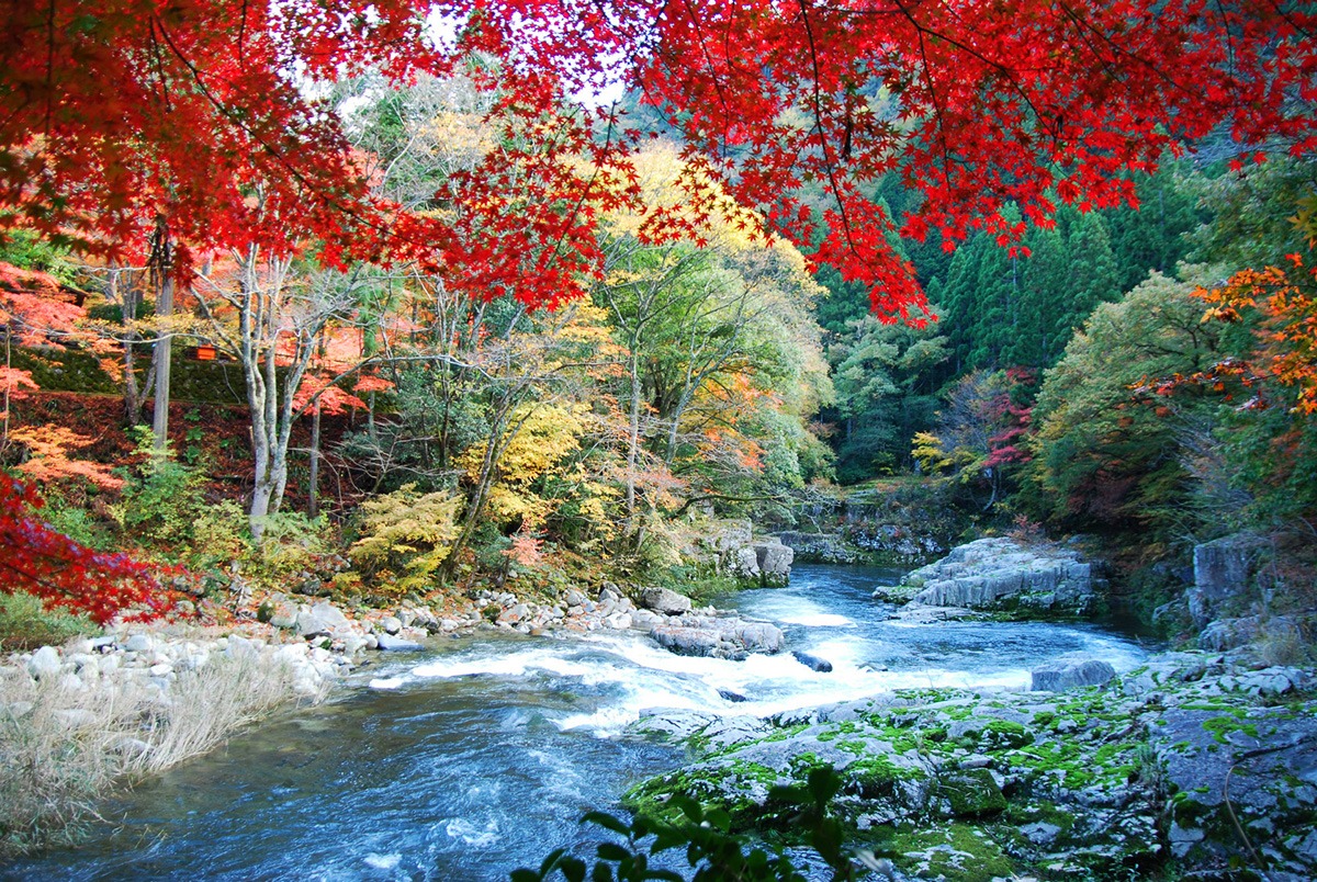 Okutsukei Okutsukei