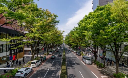 發現表參道:東京的高端購物與文化天堂