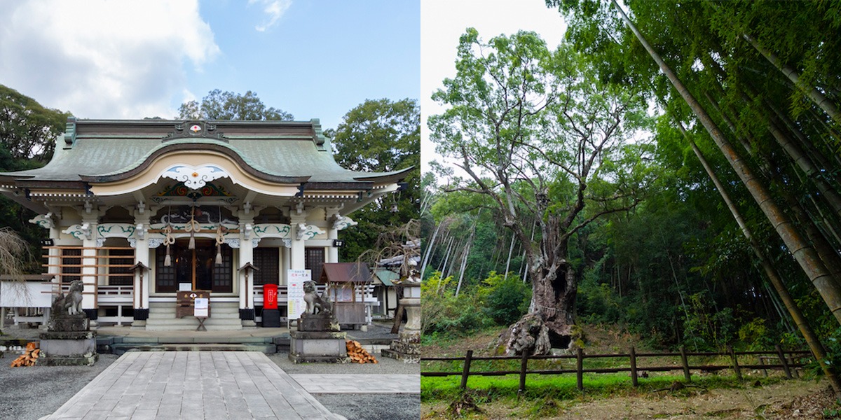 3-Day Saga Prefecture Itinerary 3-Day Saga Prefecture Itinerary