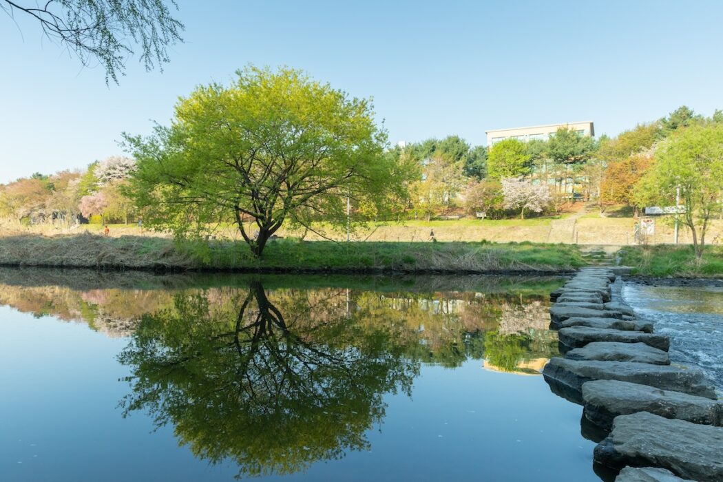 Discover Seongnam’s Best Festivals and Events in 2024! background image