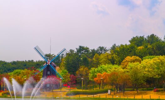 蔚山探索：熱門旅遊景點的終極指南