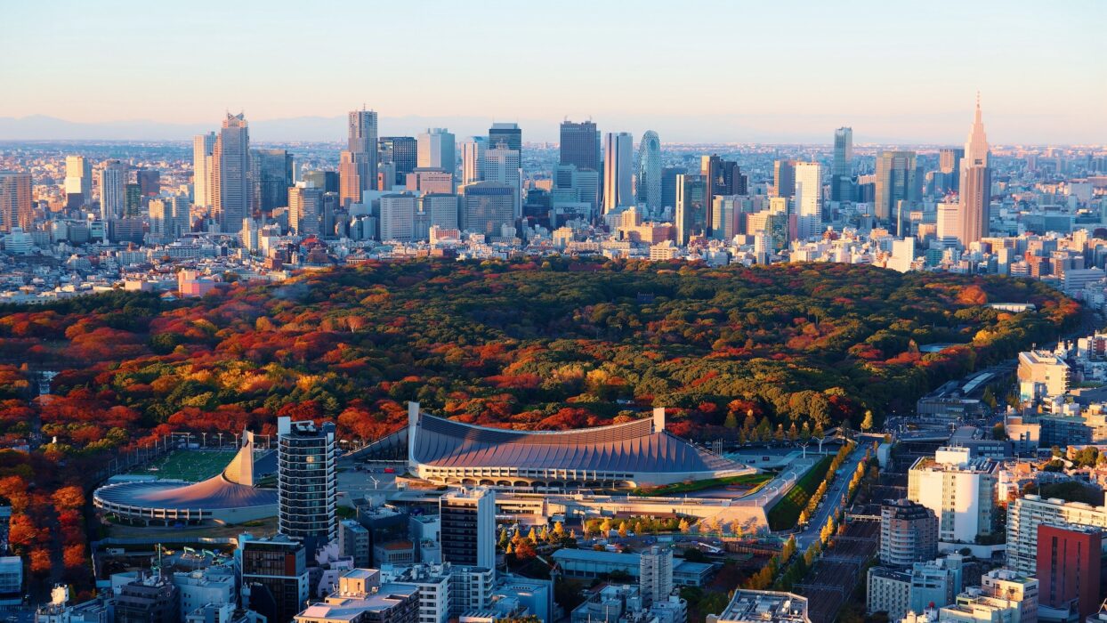代々木公園を散策:自然、文化、遊びを満喫できる東京の都会のオアシス background image