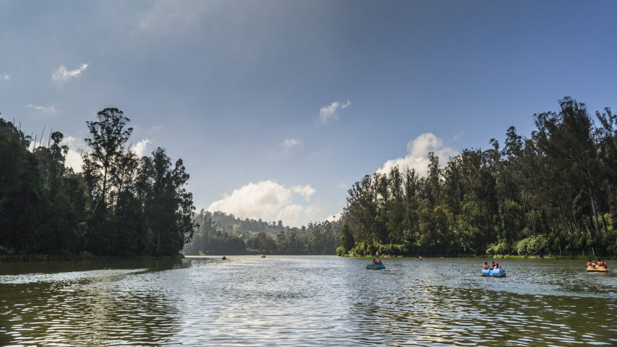 The Ultimate Guide to Ooty: Must-Visit Attractions in the Queen of Hill Stations background image