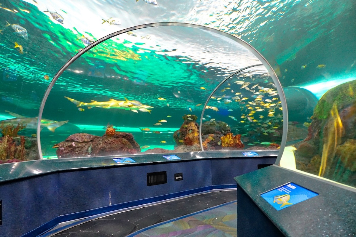 Underwater World Pattaya Underwater World Pattaya
