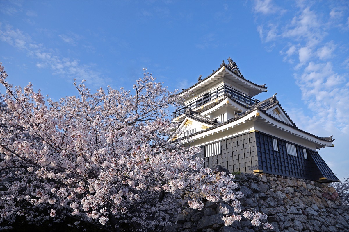 Hamamatsu Castle
