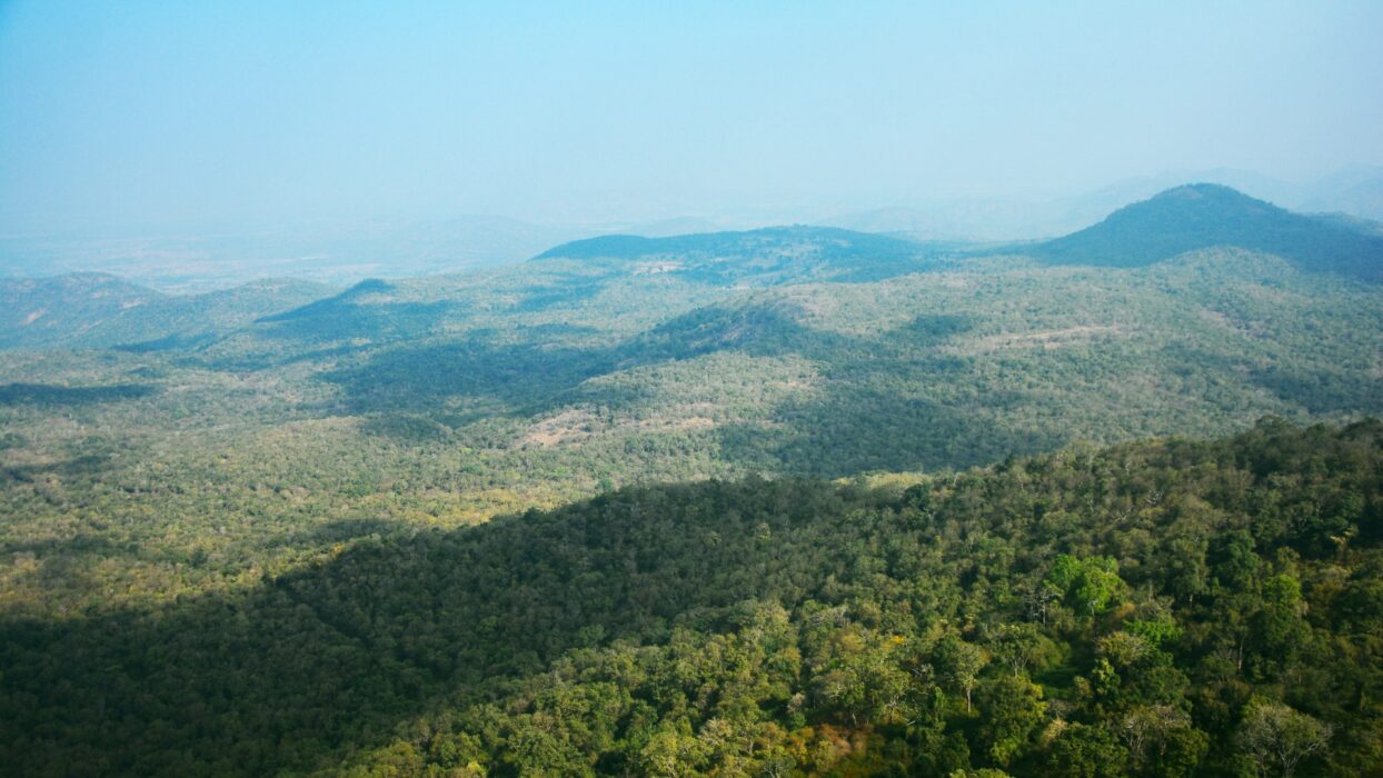 布魯斯希爾斯住宿地點：從豪華度假村到舒適的小屋