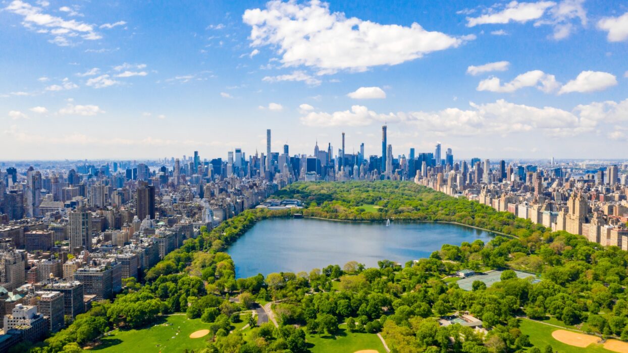 Die besten Hotels in New York: Ein Reiseführer für Japaner background image