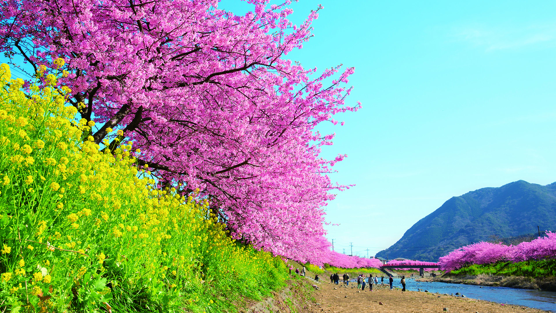 ⋆izuizu⋆ A Trip to Izu: Hot Springs and the Great Outdoors » Agoda: See The