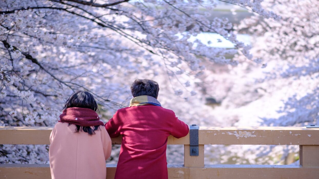 Affordable Stays for Two: Discovering Budget-Friendly Hotels Near Tokyo Station background image