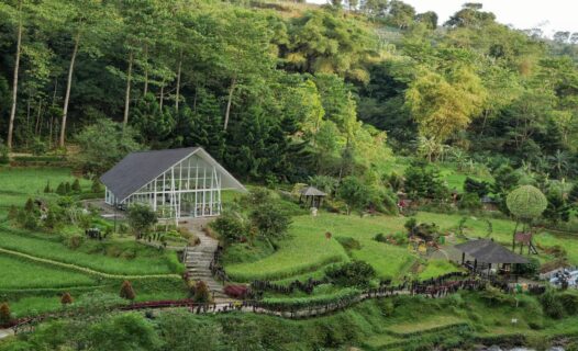 发现宁静茂物景色迷人的 Puncak 酒店指南