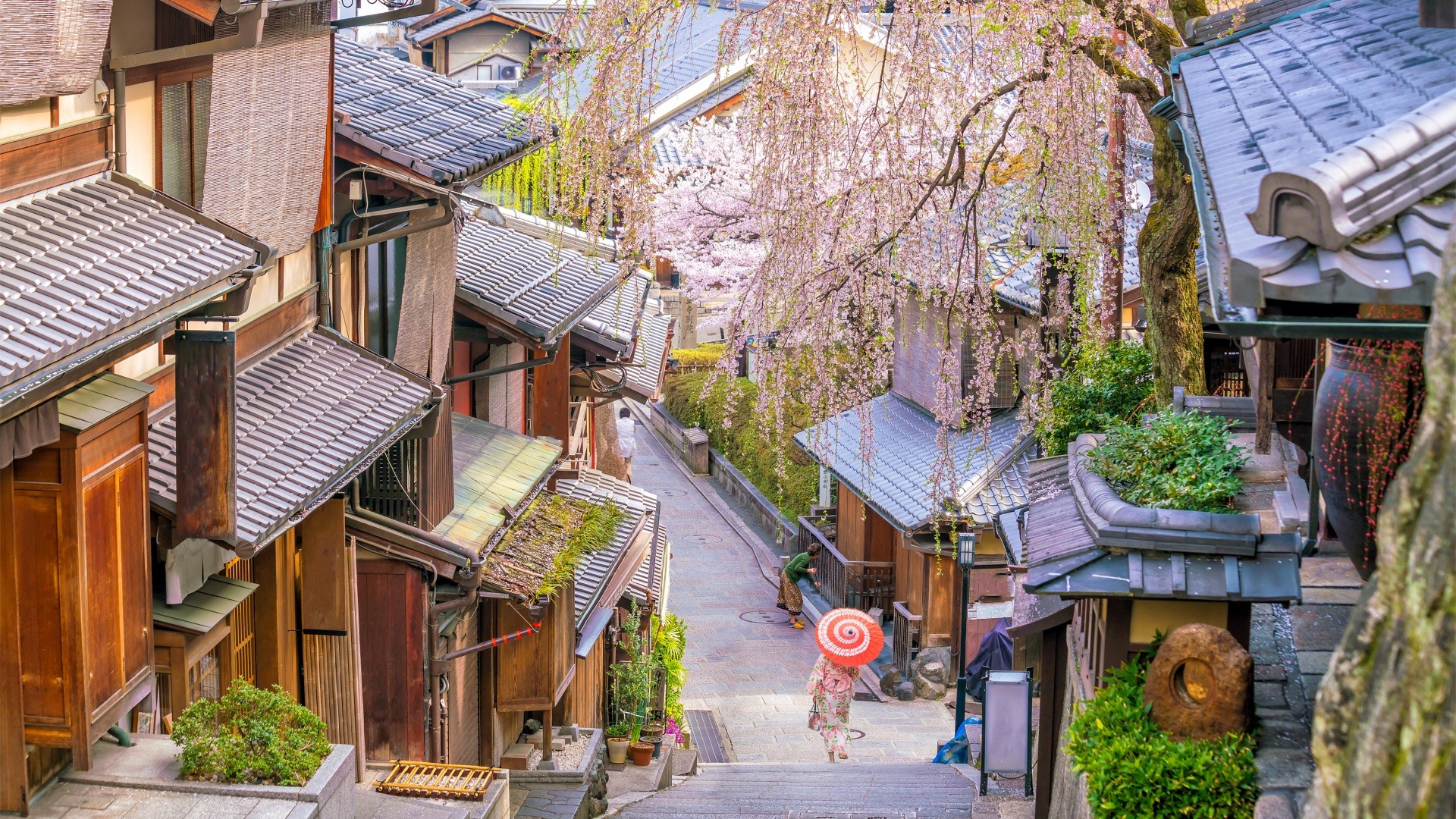 Kyoto Kyoto