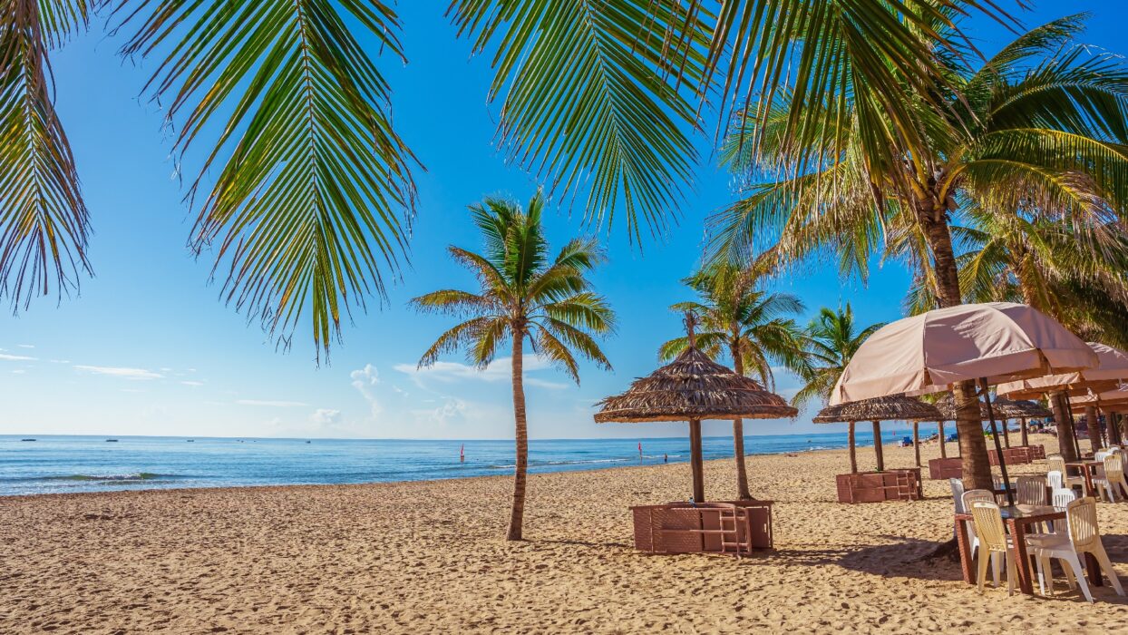 Séjourner au bord de la mer : Les meilleurs hôtels près de la plage de My Khe, Da Nang background image