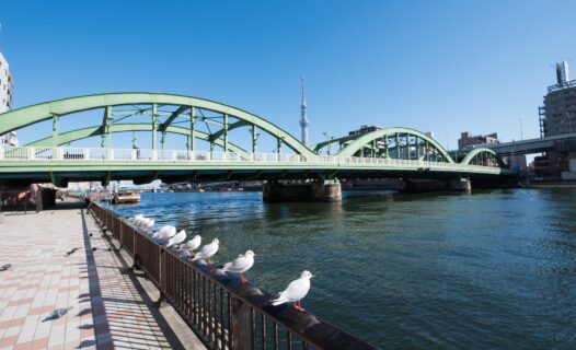 探索墨田川露台:東京風景與文化魅力的隱藏寶石