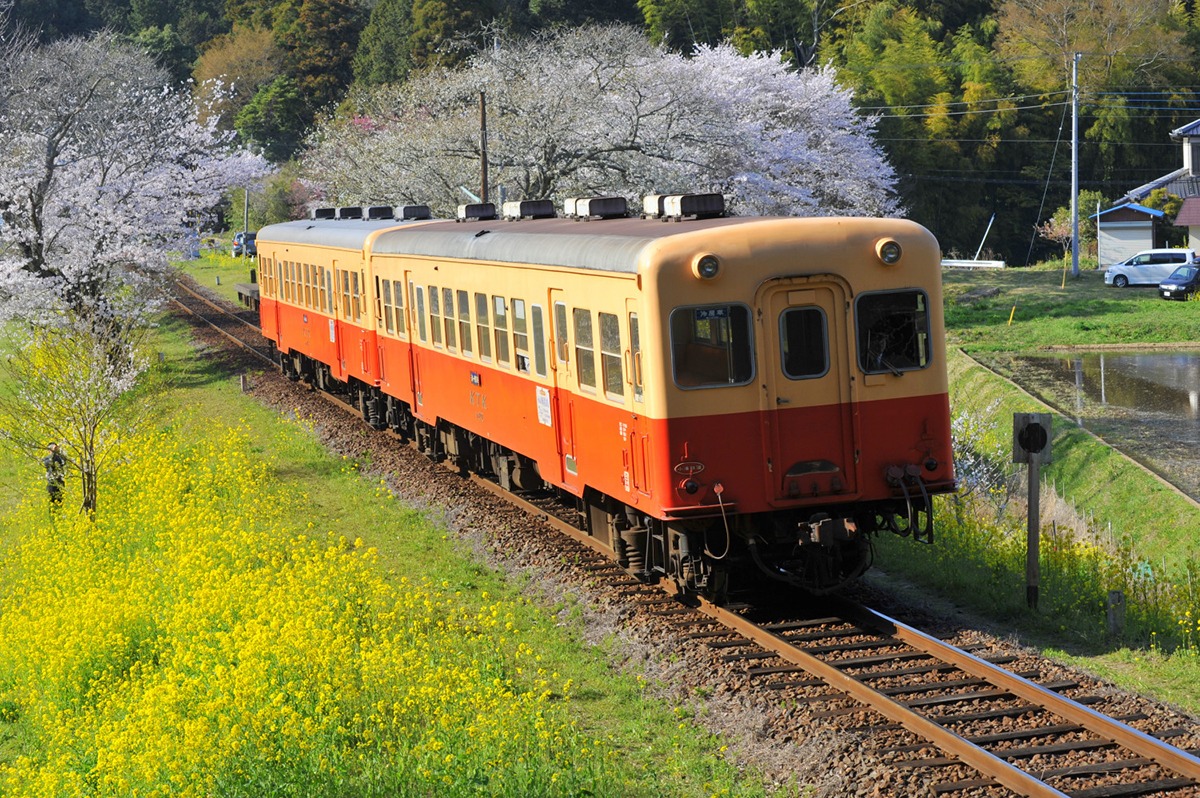 local_railway_spring local_railway_spring