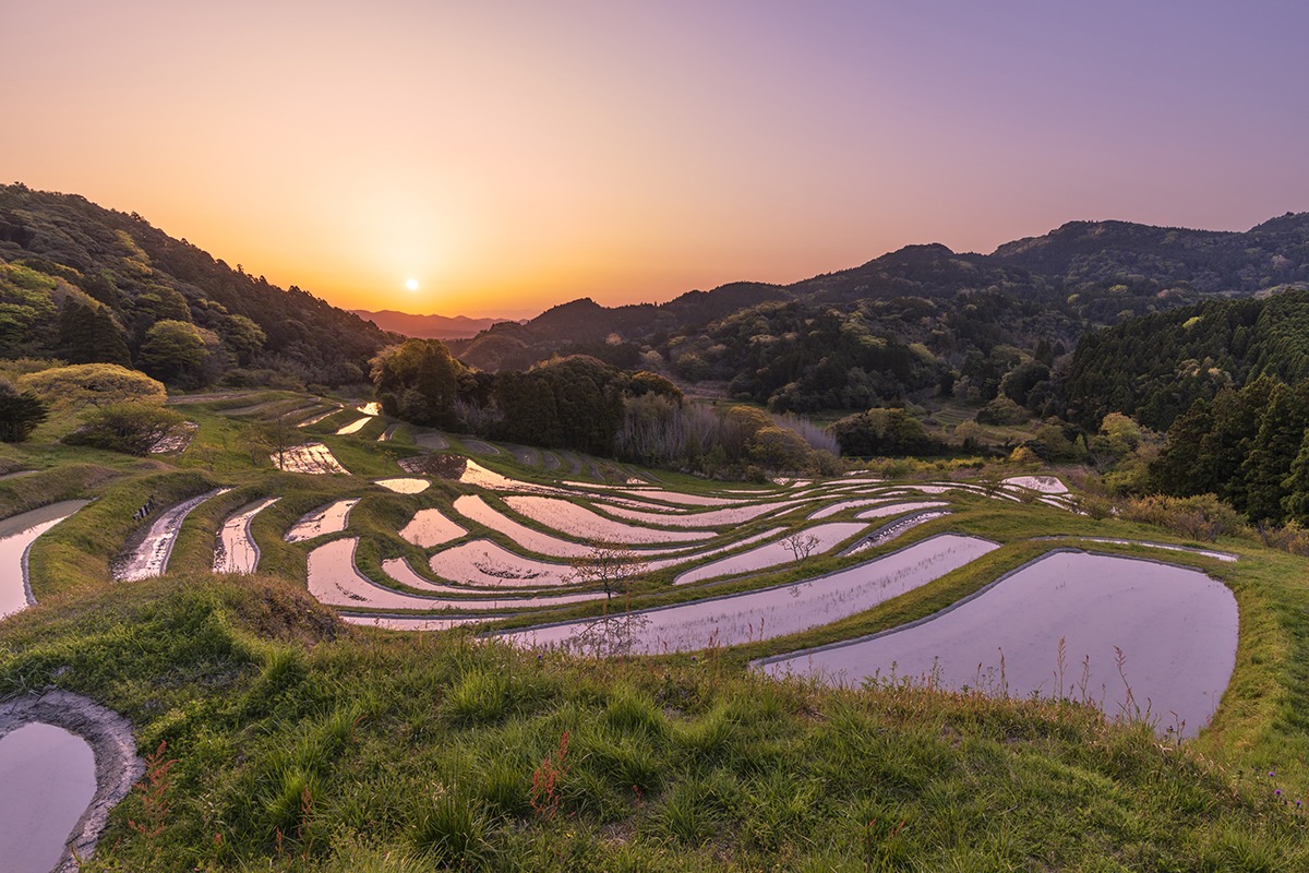 ooyama_senmaida ooyama_senmaida