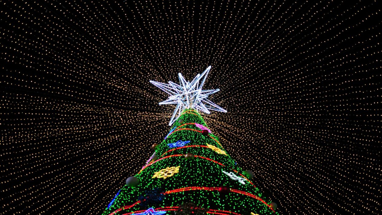 From Seoul to Busan: Exploring Christmas Day in South Korea background image
