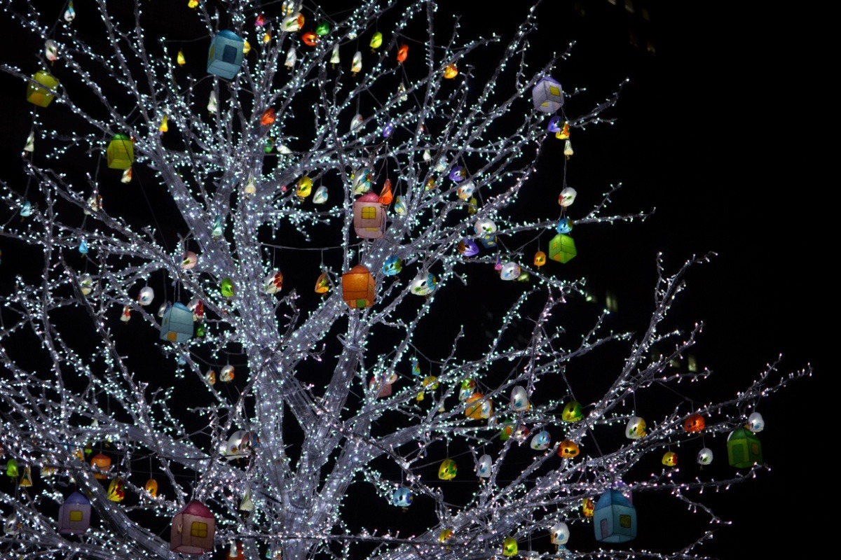 Christmas Tree, Busan Christmas Tree, Busan