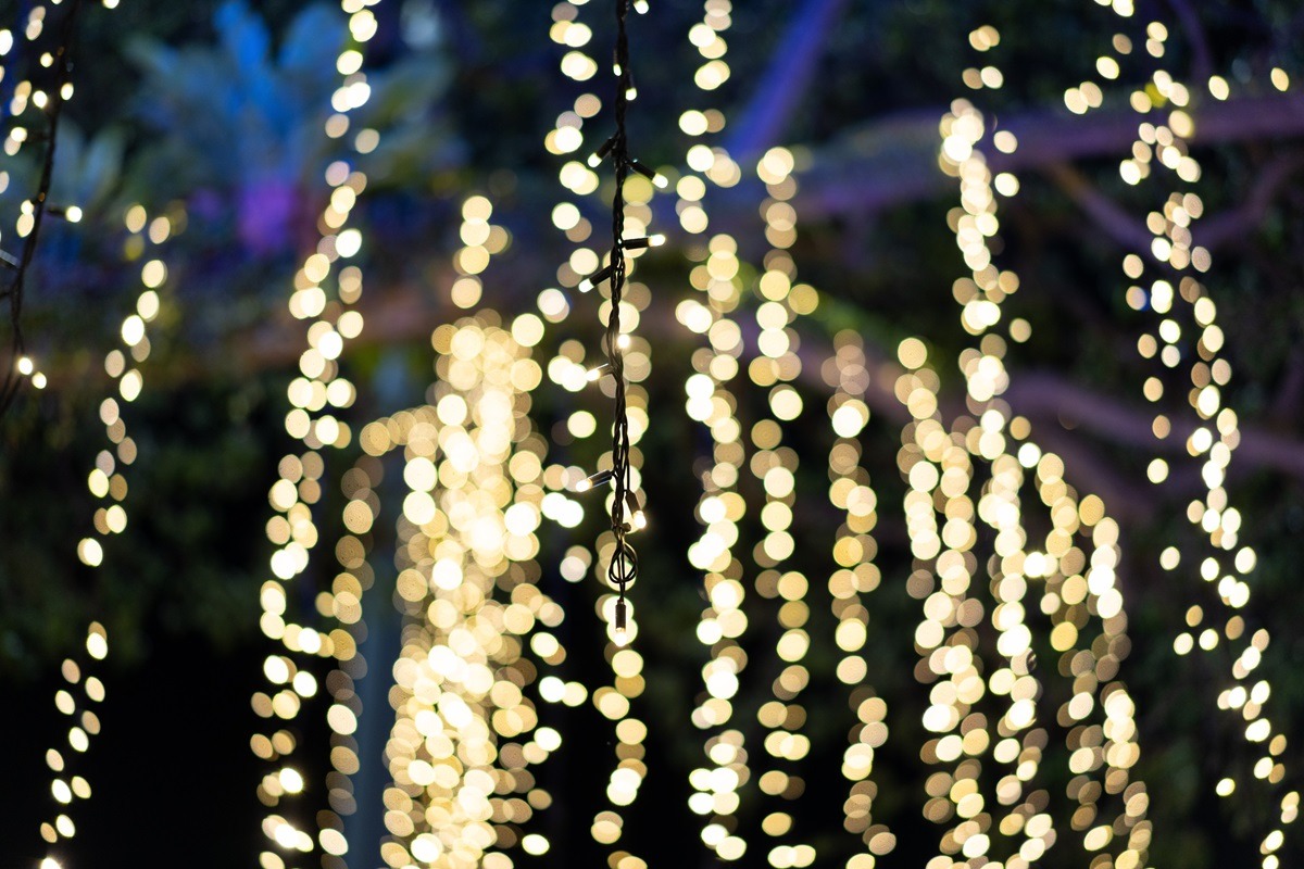 Christmas Lights and Displays