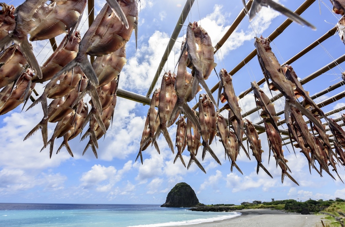 台灣台東飛魚節 台灣台東飛魚節