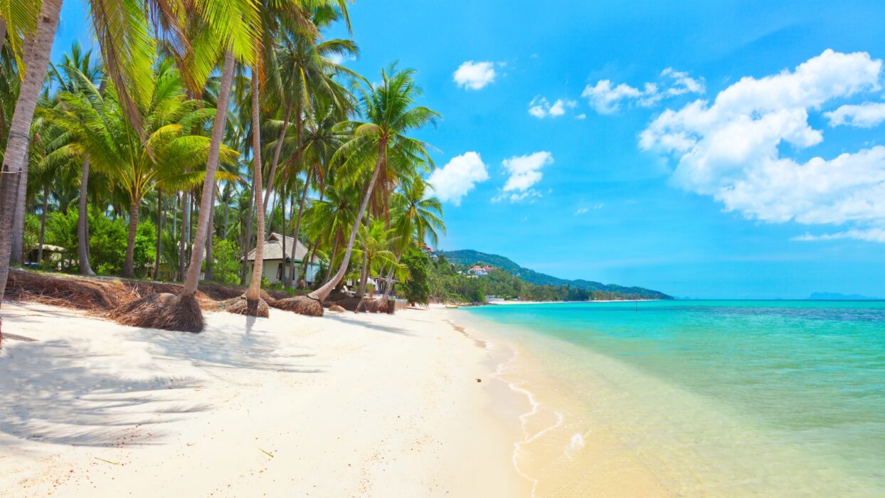 Koh Samuis beste Aufenthalte direkt am Strand: Ein Reiseführer background image
