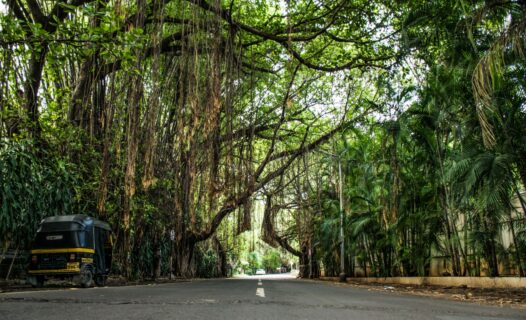 豪華公佈:發現浦那科雷岡公園最佳 5 星級飯店