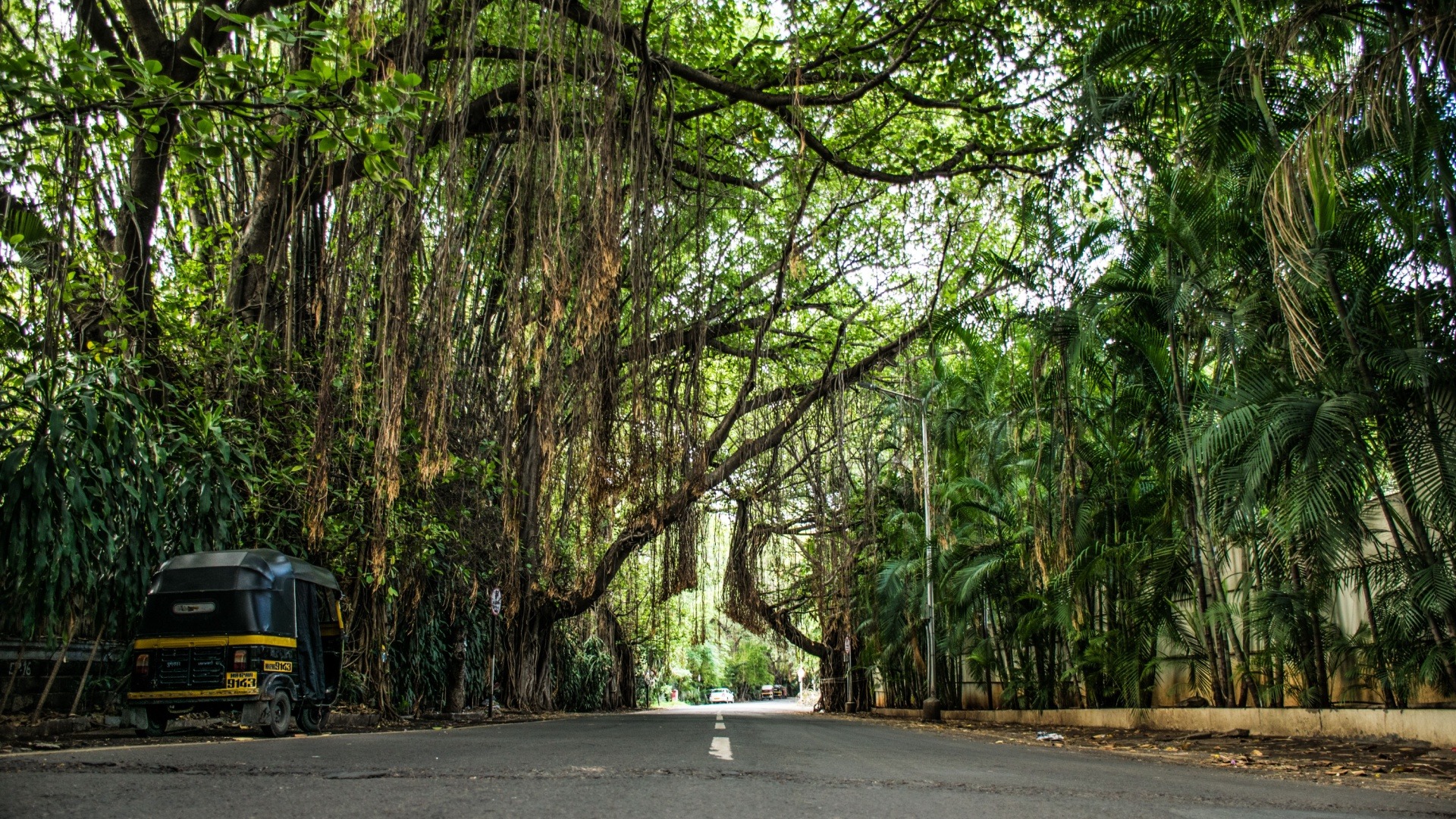 Koregaon Park, Pune, India