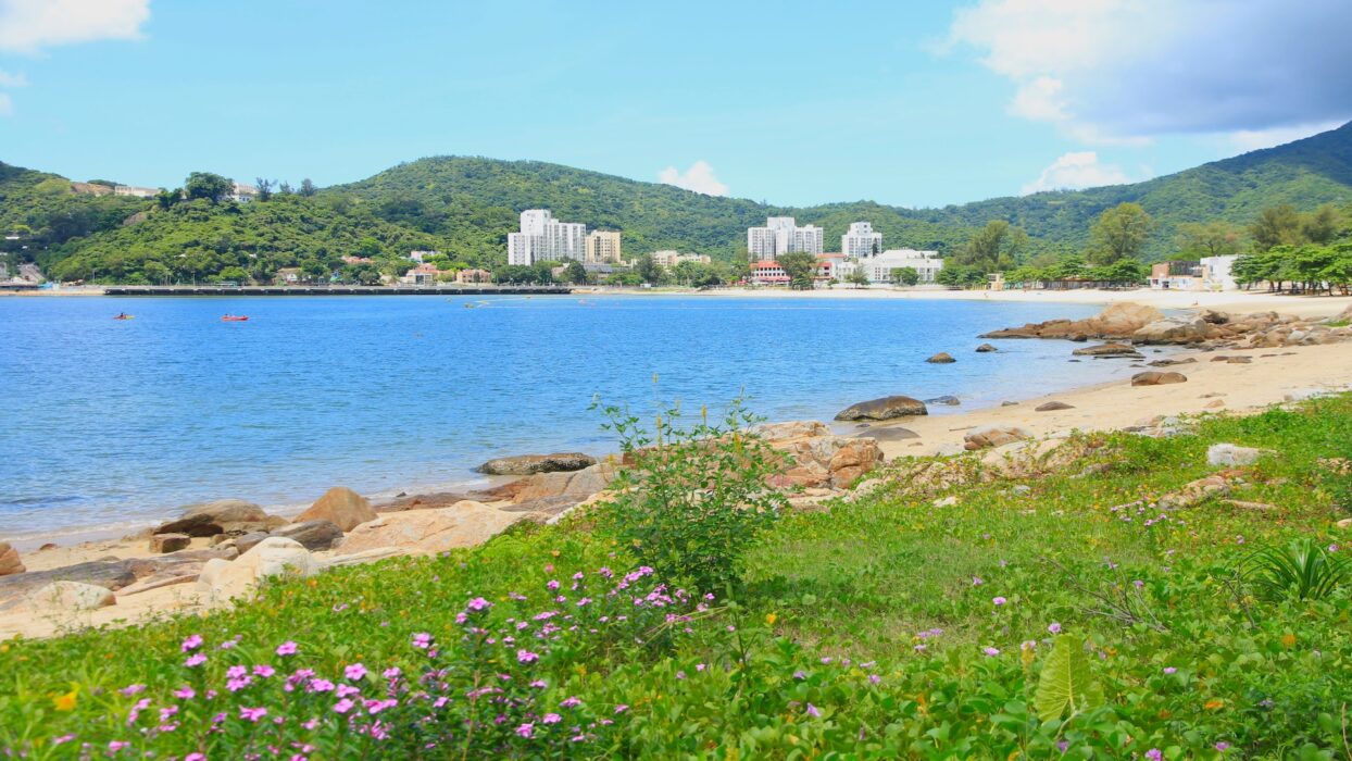무이 워 홀리데이 하우스: 홍콩 시골의 숨겨진 보석 background image