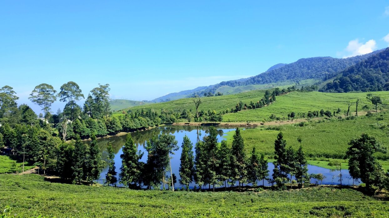 أفضل 10 فنادق في بونشاك لقضاء عطلة مثالية background image